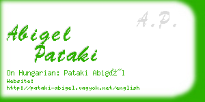 abigel pataki business card